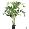 1-2m plam tree for indoor decorative .